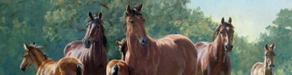 Horsemanship & Herd Dynamics    Harmony between Nature & Nurture ©